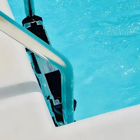 Canaryislandshost L Mare Daire *